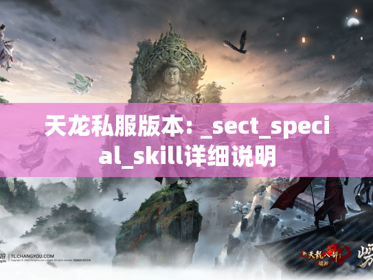 天龙私服版本: _sect_special_skill详细说明  第1张