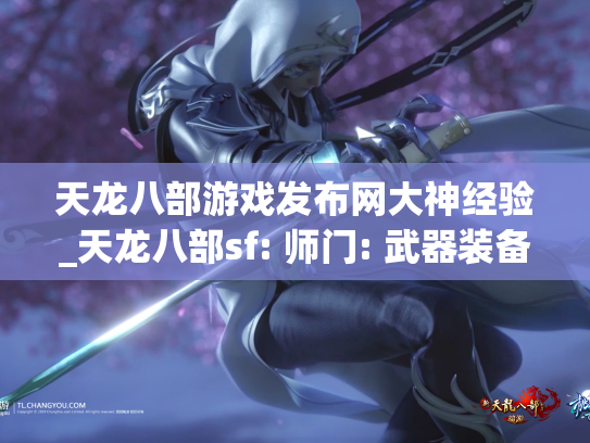 天龙八部游戏发布网大神经验_天龙八部sf: 师门: 武器装备  第1张